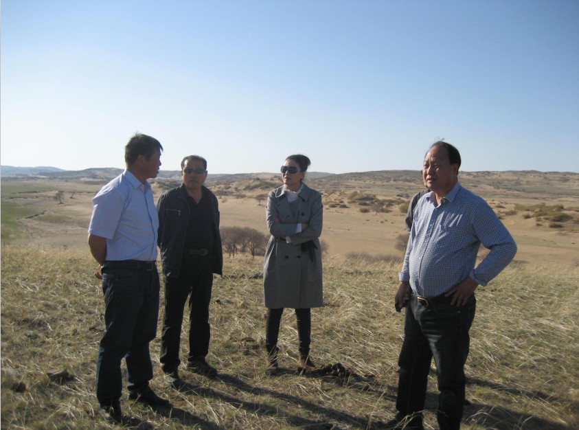 發(fā)揮資源優(yōu)勢(shì)，提高產(chǎn)業(yè)鏈競(jìng)爭(zhēng)力——協(xié)會(huì)為企業(yè)間的合作搭建平臺(tái)