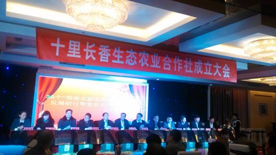 走過十里長川，拉開“十里長香”品牌的序幕