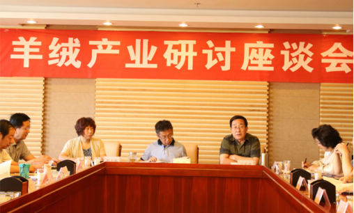 自治區(qū)農牧業(yè)廳組織召開羊絨產業(yè)研討會